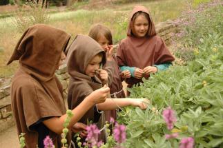 Bild: Birgit Schröder-Stepp